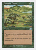 Magic: The Gathering - Summer Bloom - Sixth Edition