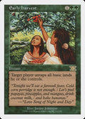 Magic: The Gathering - Early Harvest - Sixth Edition