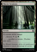 MTG - Foggy Bottom Swamp - Avatar: The Last Airbender (TLA)