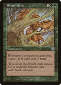 Magic: The Gathering - Briar Patch - Mercadian Masques