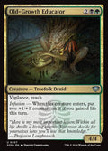 MTG - Old-Growth Educator - Secrets of Strixhaven (SOS)